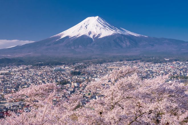 富士山